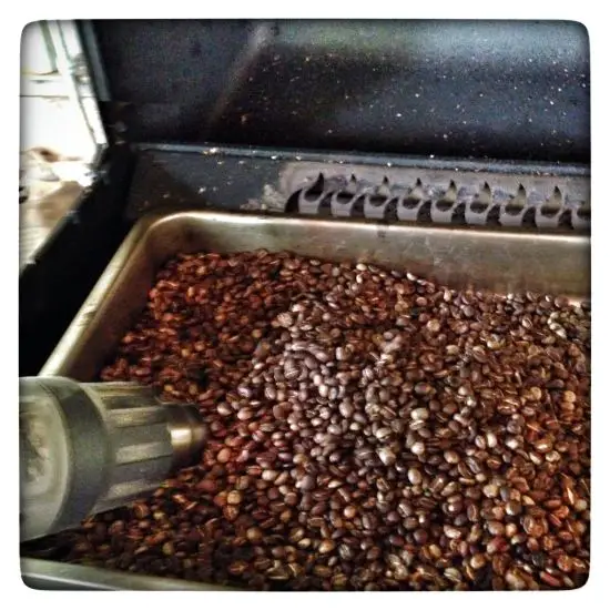 How to Roast Coffee Beans with a Gas Grill/Oven at Home Best Espresso Machine Reviews