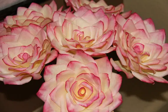 Source: www.etsy.com